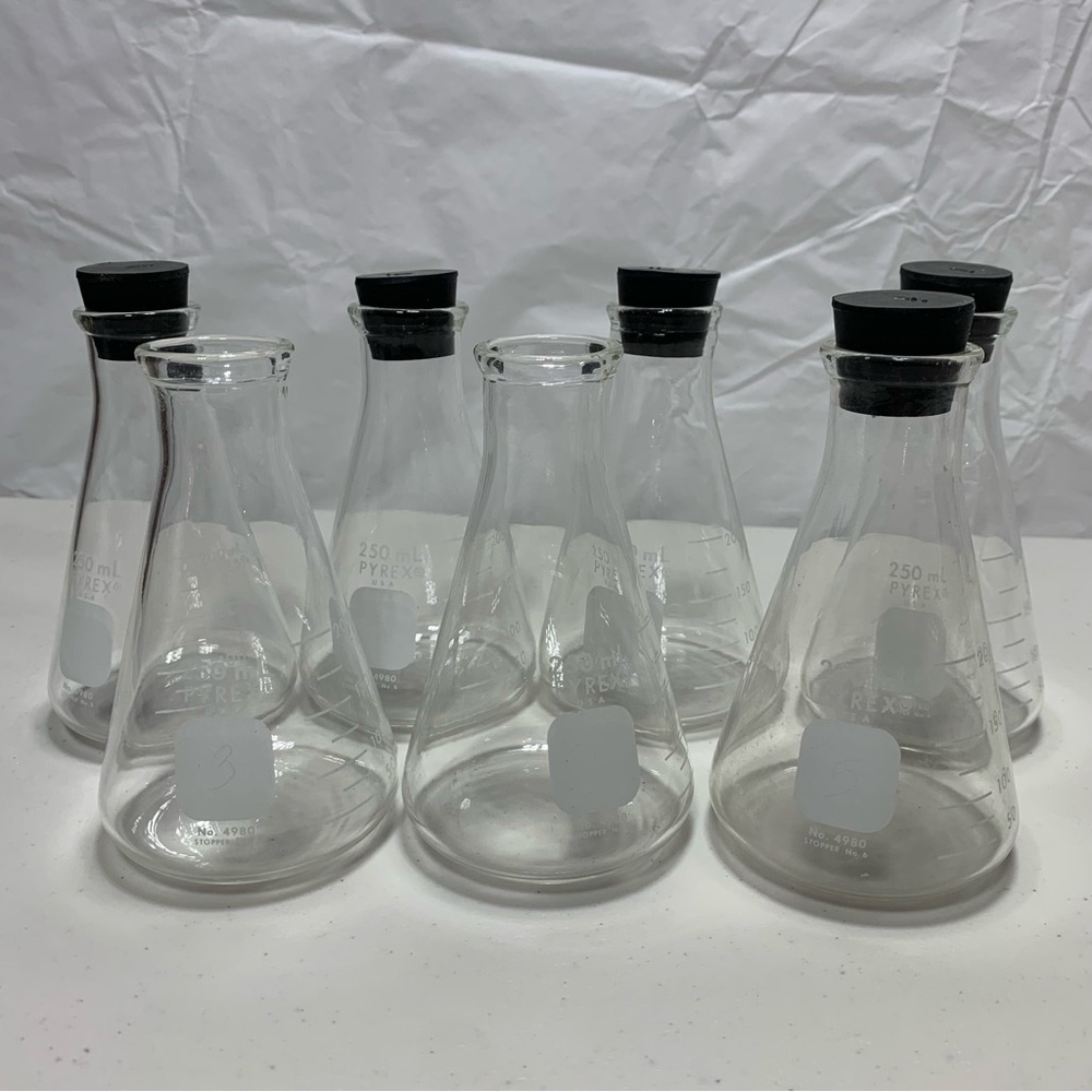Set of Clear Pyrex Glass Erlenmeyer Flasks with Black Lid stopper 250ml
